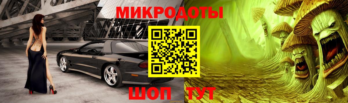 Псилоцибиновые грибы Cubensis Ухта